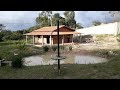 CONSTRUÇÃO ECONOMICA - TELHADO COLONIAL CASA DE SÍTIO -  $$