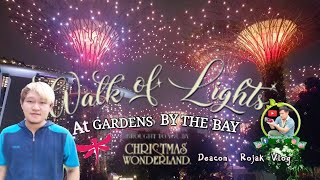 Deacon Rojak Vlog 39 Walk of Lights - Christmas Wonderland 2020 | Gardens By The Bay 新加坡最后的回忆 211220