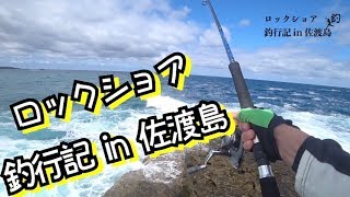 ロックショア釣行記 in 佐渡島