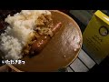 【キャンプ飯】新発売！alpen outdoors × coco壱番屋「マイキャンプカレー」を家でキャンプっぽく食べたい男の休日