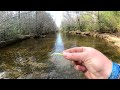 TROUT GO CRAZY FOR THIS LURE IN CLEAR WATER (Where it all began!)