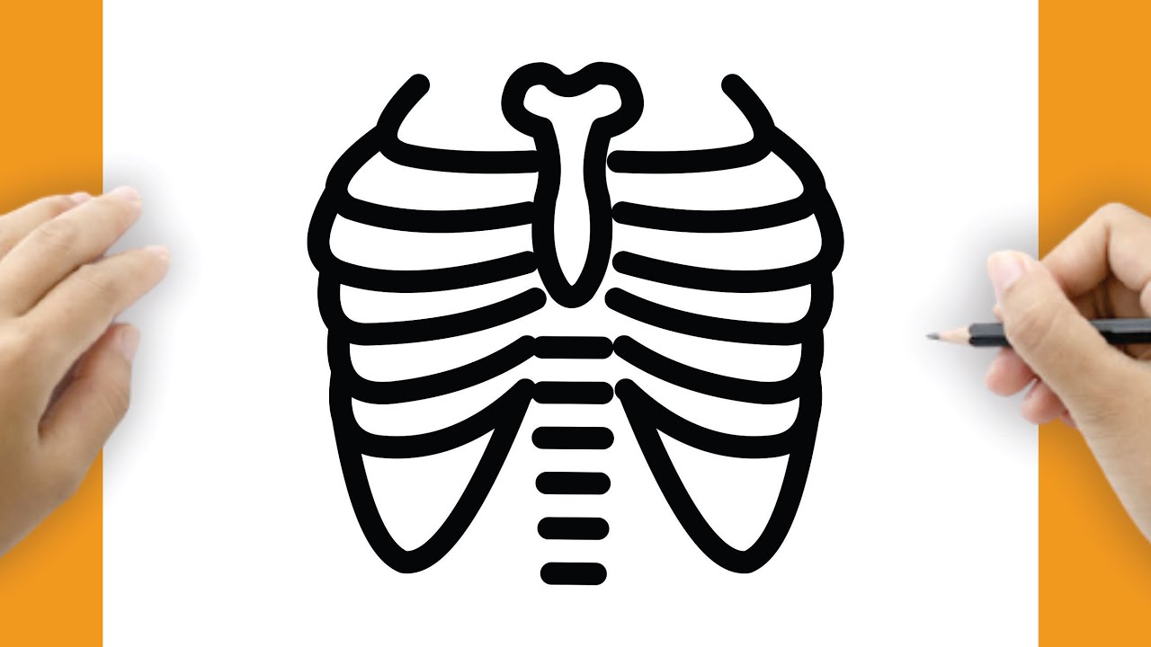 X Ray Drawing For Kids