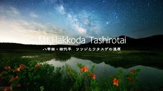 Time Lapse #129　Mt.Hakkoda Tashirotai ツツジとワタスゲの湿原 八甲田・田代平 4K