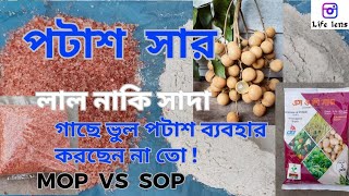 গাছে পটাশ সার এর ব্যাবহার জানুন । ছাদ বাগানে অতি প্রয়োজনীয় একটি সার। SOP and MOP fertilizer.