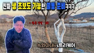 생 초보가 '직접' 해봤습니다! 진짜 초짜도 가능한 나무 월동 준비/동해 방지 강의(?)영상! 트리케어vs녹화마대 ㅋㅋㅋㅋ