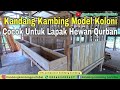 Review Kandang Kambing Koloni 2 unit Cocok Untuk Lapak Qurban