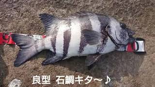 【魂8】内之浦 極寒 石鯛釣り　（佐多岬　内之浦　船間　石鯛　伊座敷　南郷）