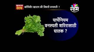 #ViralSatya : तुम्ही आवडीने खात असलेली 'कोथिंबीर' नक्की कोथिंबीरच आहे ना ?