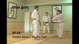 Kihon Ippon Kumite - Mae Geri 01