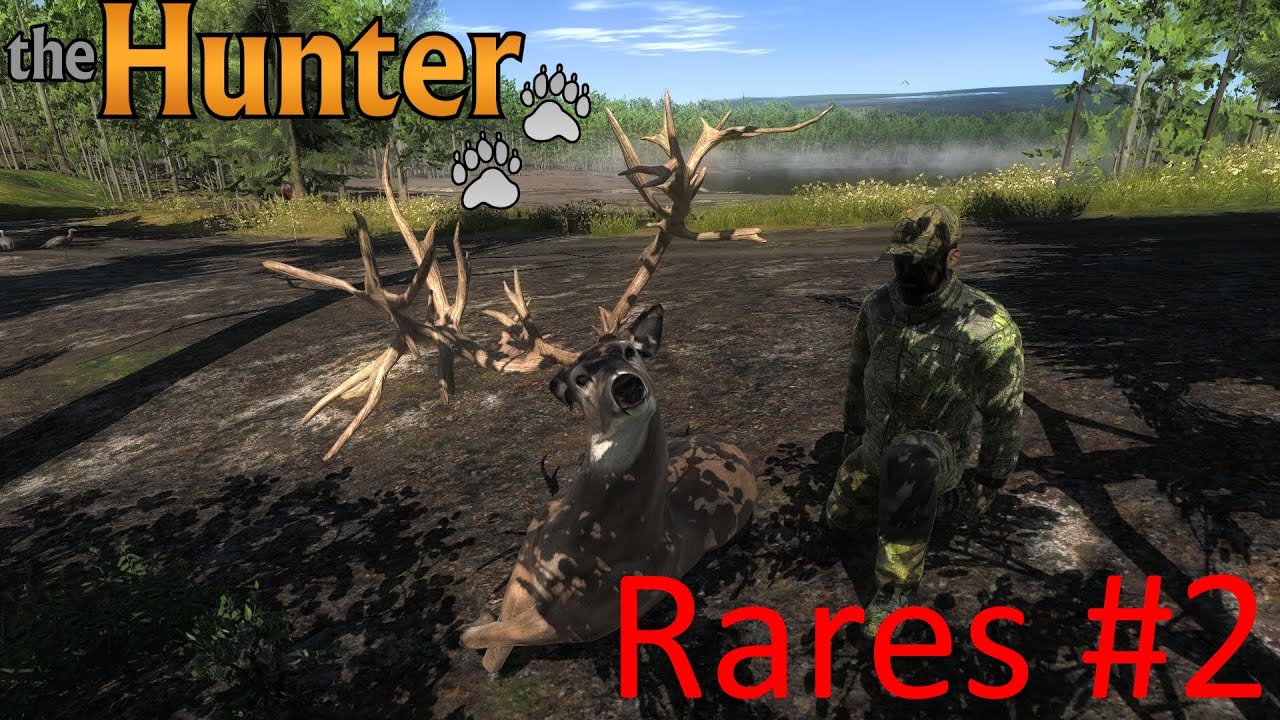 The Hunter Rares 2 Youtube