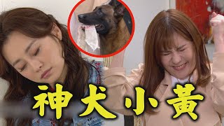 【炮仔聲】EP345 麗玲電擊寶娜想滅口  妍熙求救\