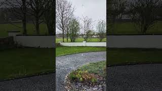 Galway,  Ireland,  April 13th 2023!! Drip Drip Drop Little April Showers!! ☔ 💧