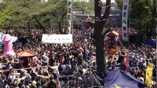 かなまら祭り Japanese famous Penis Festival.