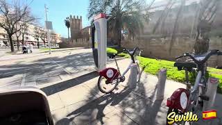 Strolling with my son on a lovely sunny weather afternoon | Sevilla España