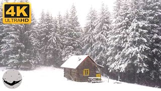 暴风雪的声音 - 舒适的木屋 - 暴风雪 - 风吹和嚎叫