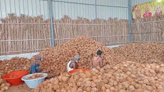 SSN POLLACHI COCONUT EXPORTS /+91-9942146889,+91-7639007472