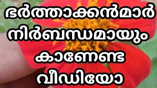 അമ്മായമ്മ നാത്തൂൻ പോര് : ഭർത്താക്കൻമാർ നിർബന്ധമായും കാണേണ്ട വീഡിയോ:Training Hub Kerala : Musthafa NP