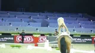 Lisa Wild Vaulting Paris 2014