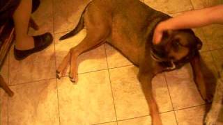 DSCF0349.AVI