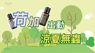 產品介紹－薄荷+尤加利／荷加出動．涼夏無蟲 (2021.07.19)