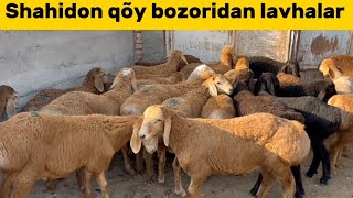 Shahidon qõy bozori bugungi narhlar bilan tanishing 30.07.2024yil