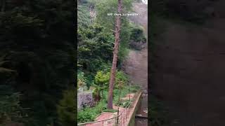 வெள்ளி நீர் வீழ்ச்சி பூங்கா கொடைக்கானல் 🫧 #shorts #shortsfeed #waterfall #kodaikanal #park #kids