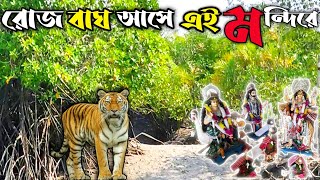 সুন্দরবনে বাঘের উপস্থিতিতে এই বনবিবি পুজো হয় /BonBibi Puja In The Tiger Area Of The SUNDORBON #viral