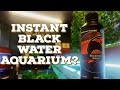 Testing Out Blackwater Extract By Quantum