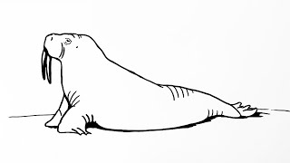 Easy realistic walrus drawing tutorial