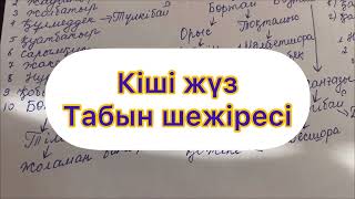 КІШІ ЖҮЗ ТАБЫН ШЕЖІРЕСІ✅ Толық #шежіре 1-бөлім‼️ #кішіжүз