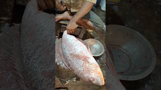 Incredible Huge Red Snapper Fish Cutting Live In Fish Market || #shorts #fish #fishing #food