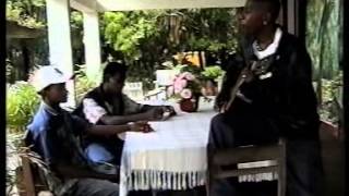 Modeste- Jerijery