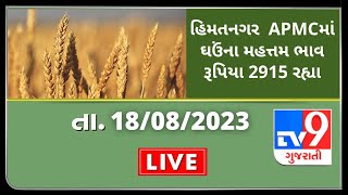 Mandi : હિમતનગર  APMCમાં ઘઉંના મહત્તમ ભાવ રૂપિયા 2915 રહ્યા | TV9