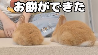 うさぎをコネコネしたら２つのキナコ餅ができました