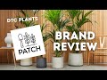 Patch Plants Review