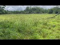 142 perches of Prime Paddy-Front Land Near Weligama Beach  A Rare Investment Opportunity!