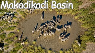 Exploring the Mystical Makadikadi Basin: Botswana's Salt Pan Wonder