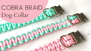Cobra Braid Dog Collar | Full Step-by-Step Tutorial
