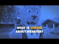 What is Unique About Webster? | Webster University