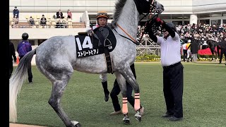 丸田騎手が乗る直前に一瞬ストリートファイターしそうになるストリートピアノちゃん🐴🎹🎵