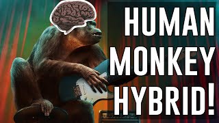 Scientists engineer larger monkey brains!