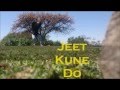 jeet kune do training