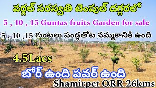 5 Guntas , 10 Guntas all types fruit Garden for sale Near Wargal Saraswathi temple 4.5lac per Gunta