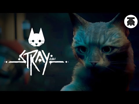 Обзор игры Stray за 3 минуты