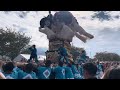 2024 10 14 土居町秋祭り 入野太鼓台