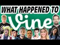 The Painful Demise of Vine