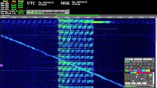 The Buzzer (4625khz) - Live