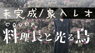 【MV】料理長と光る鳥 - 未完成(家入レオ)【カバー】フジテレビ系月9ドラマ「絶対零度〜未然犯罪潜入捜査〜」主題歌【Full】