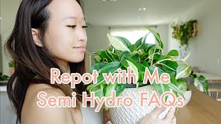 REPOT WITH ME | SEMI HYDROPONICS FREQUENTLY ASKED QUESTIONS