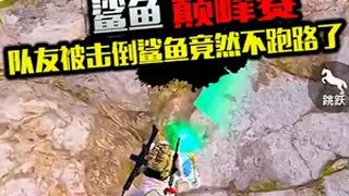 队友倒地鲨鱼竟然不跑路了？ 和平精英 鲨鱼哟syy 和平精英巅峰赛 游戏解说